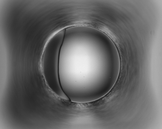 X0000096220960200801181448