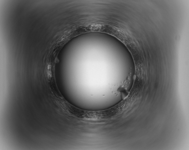 X0000096220962200801181447