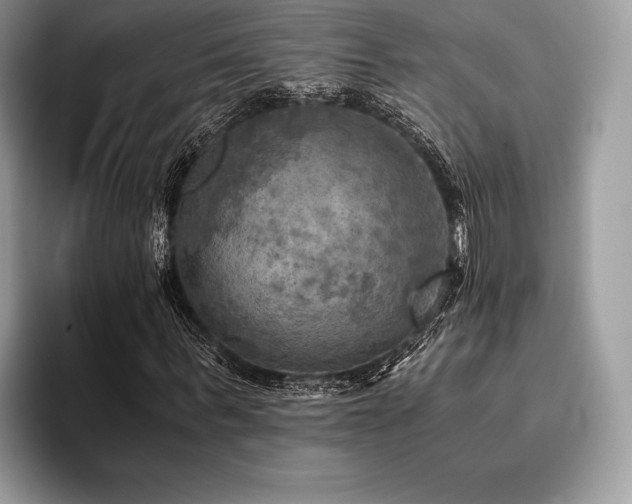X0000096220963200801181447