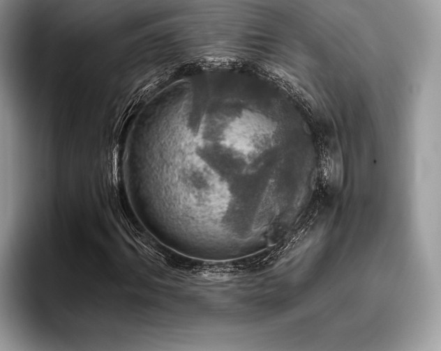 X0000096220964200801181447