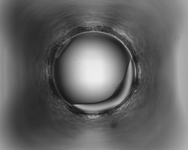 X0000096220965200801181447