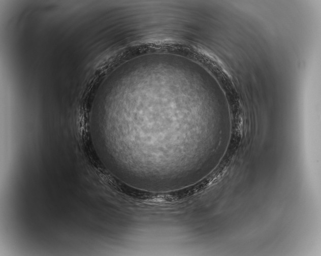 X0000096220966200801181447