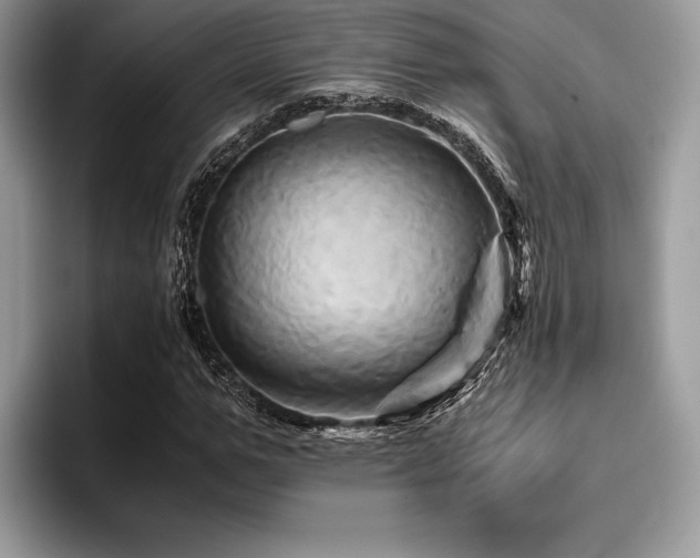 X0000096220967200801181447