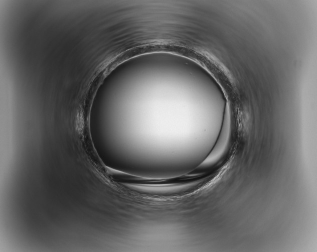 X0000096220969200801181447