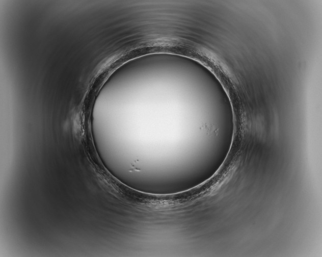 X0000096220970200801181447