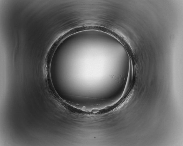 X0000096220973200801181447