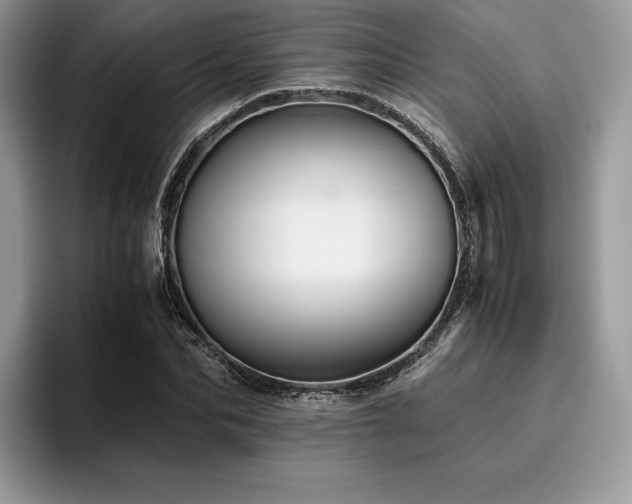 X0000096220974200801181447