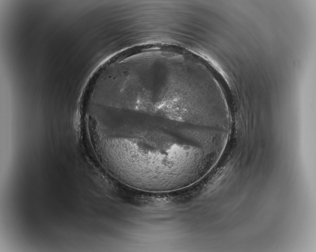 X0000096220975200801181447