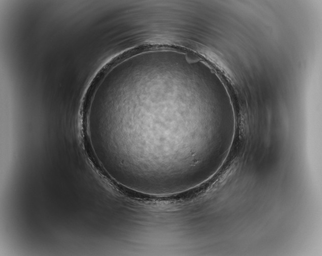 X0000096220976200801181447