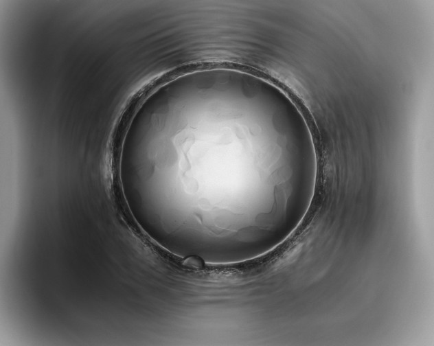 X0000096220979200801181447