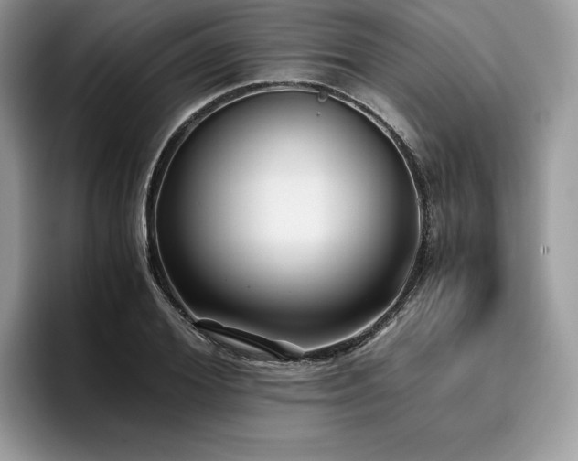 X0000096220980200801181447