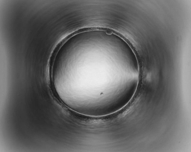 X0000096220982200801181447
