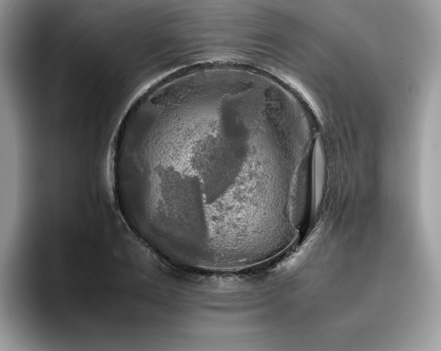 X0000096220983200801181447