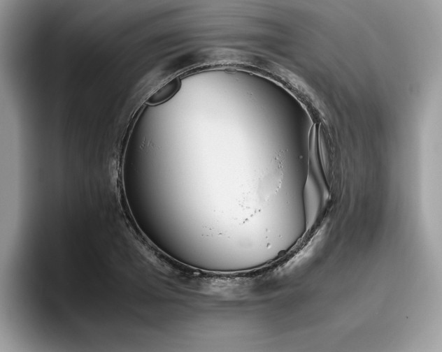 X0000096220985200801181447