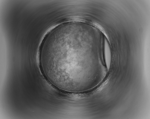 X0000096220987200801181447