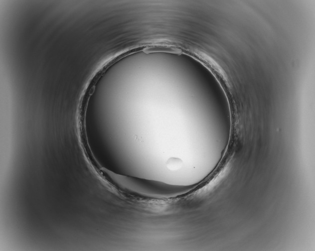 X0000096220989200801181447