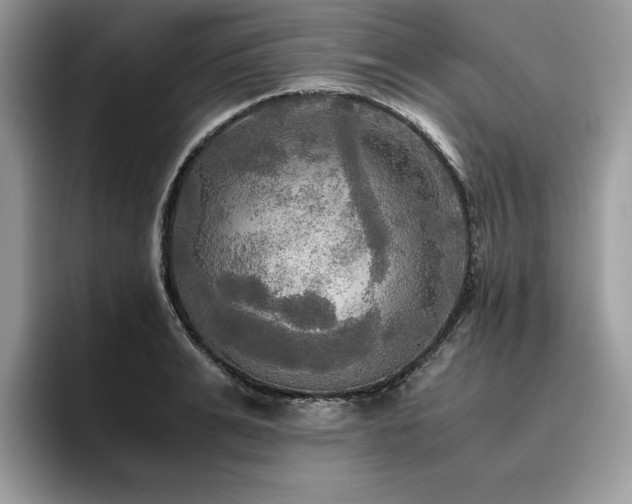 X0000096220991200801181447