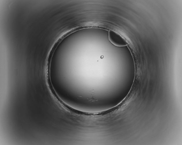 X0000096220992200801181447