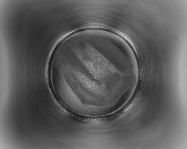 X0000096220995200801181447