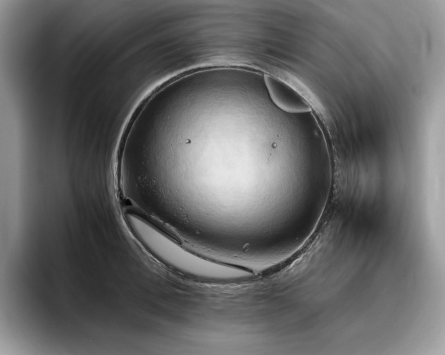 X0000096220996200801181447