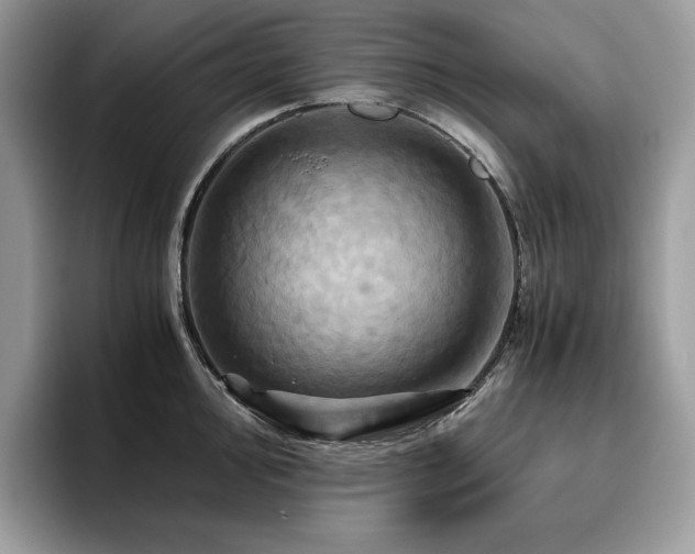 X0000096221000200801181447