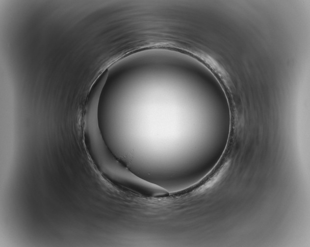 X0000096221001200801181447