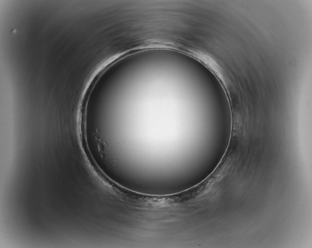 X0000096221003200801181447