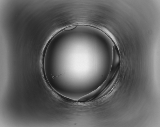 X0000096221005200801181447