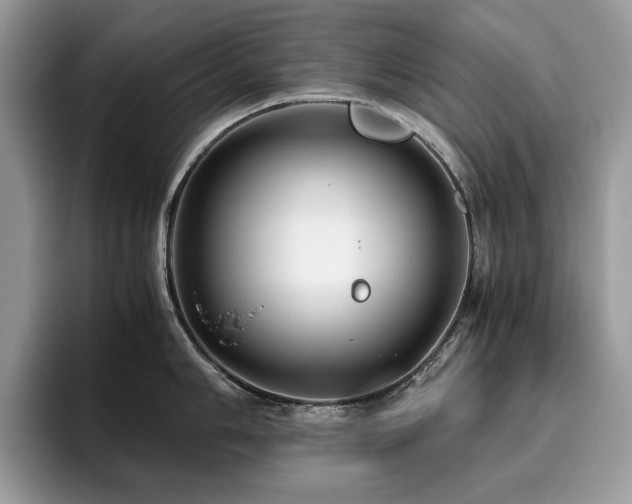X0000096221006200801181447