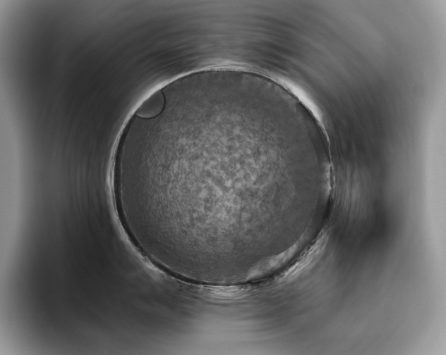 X0000096221007200801181447