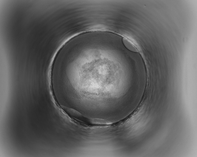 X0000096221008200801181447