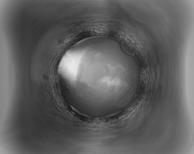 X0000096221009200801181446