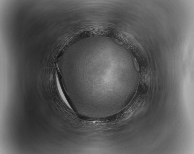 X0000096221010200801181446