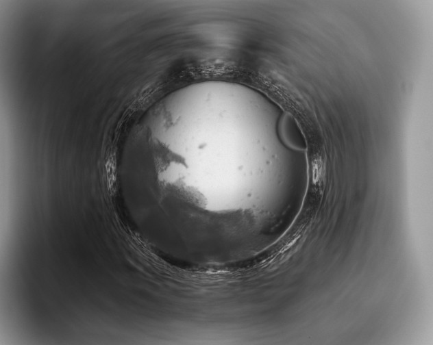 X0000096221011200801181446