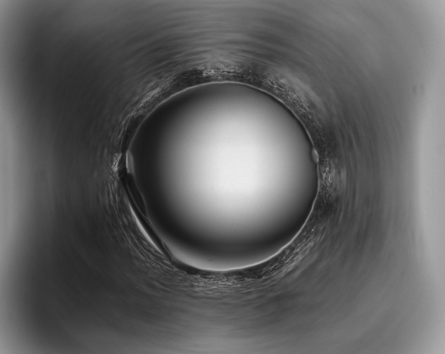 X0000096221012200801181446