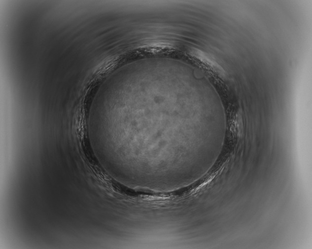 X0000096221014200801181446
