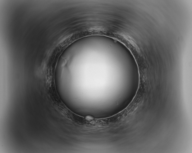 X0000096221015200801181446