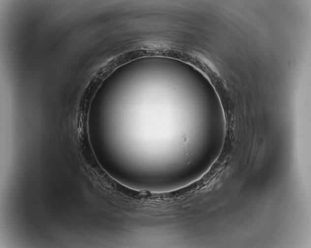 X0000096221016200801181446