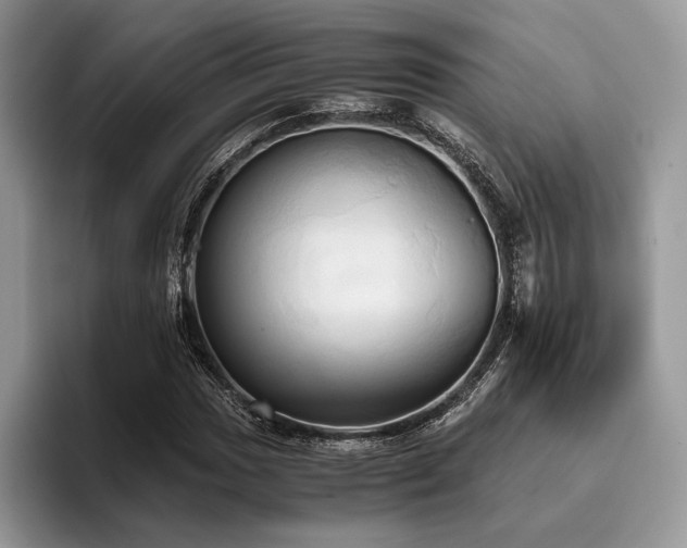 X0000096221017200801181446