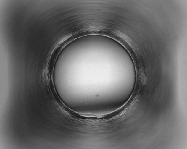 X0000096221018200801181446