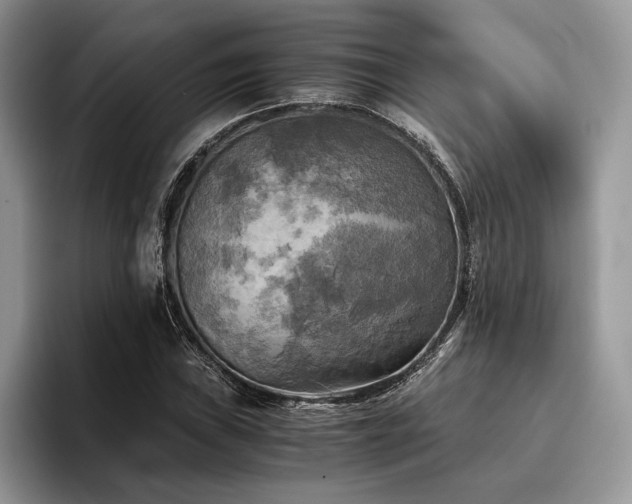 X0000096221019200801181446
