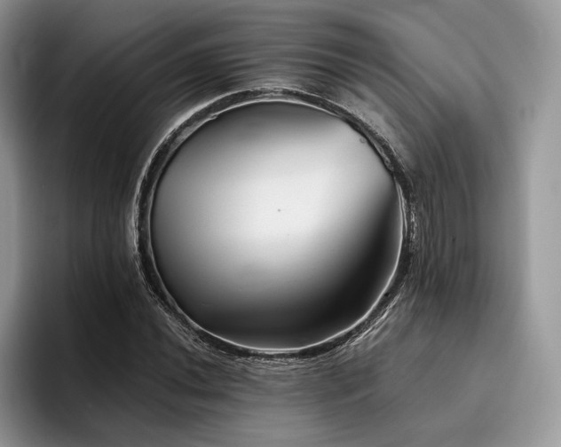 X0000096221020200801181446