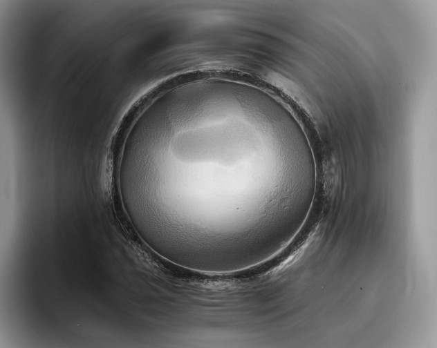 X0000096221021200801181446