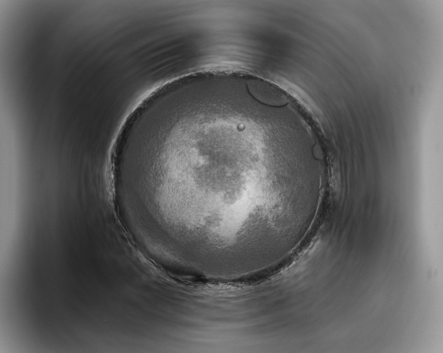 X0000096221022200801181446