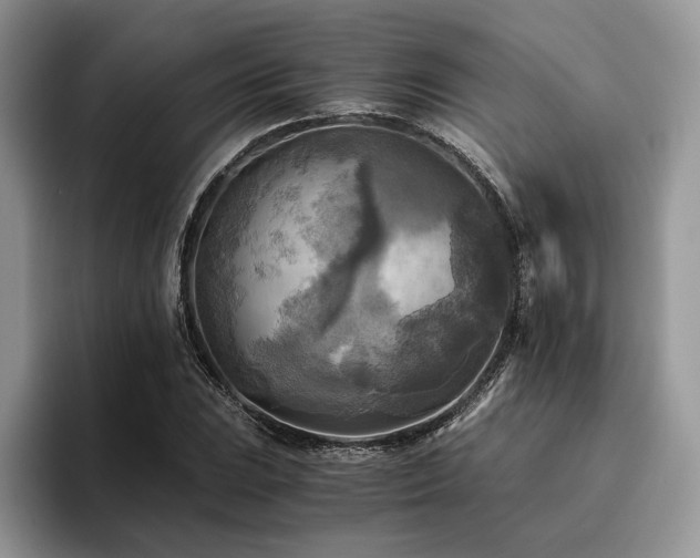 X0000096221023200801181446