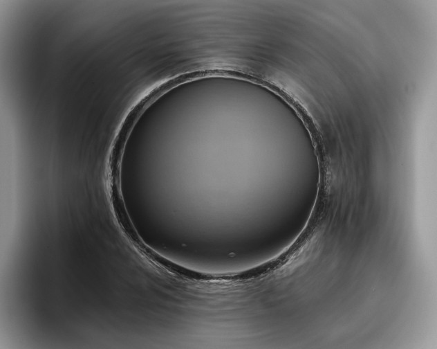 X0000096221024200801181446