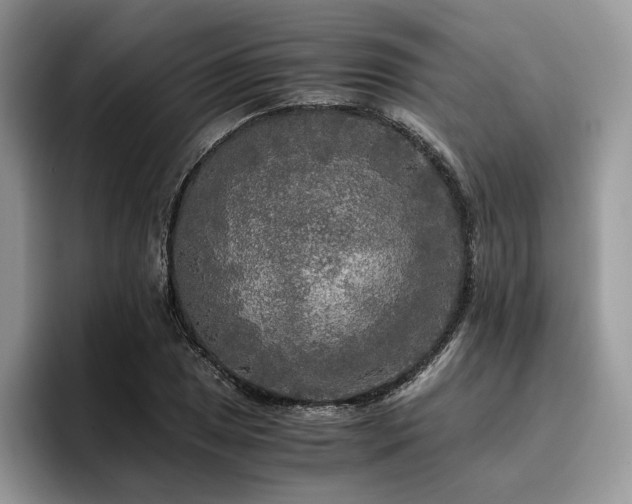X0000096221025200801181446