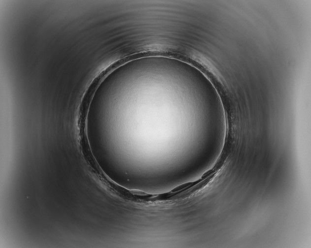 X0000096221026200801181446