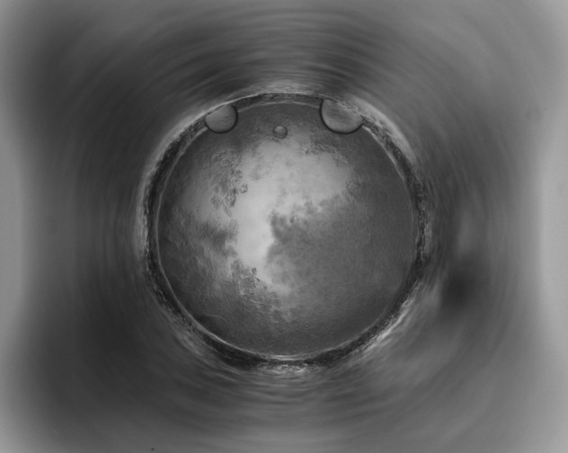 X0000096221027200801181446