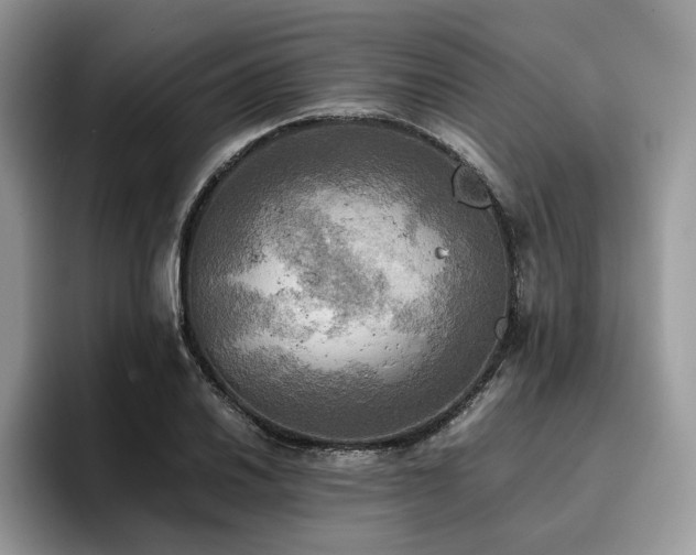 X0000096221030200801181446